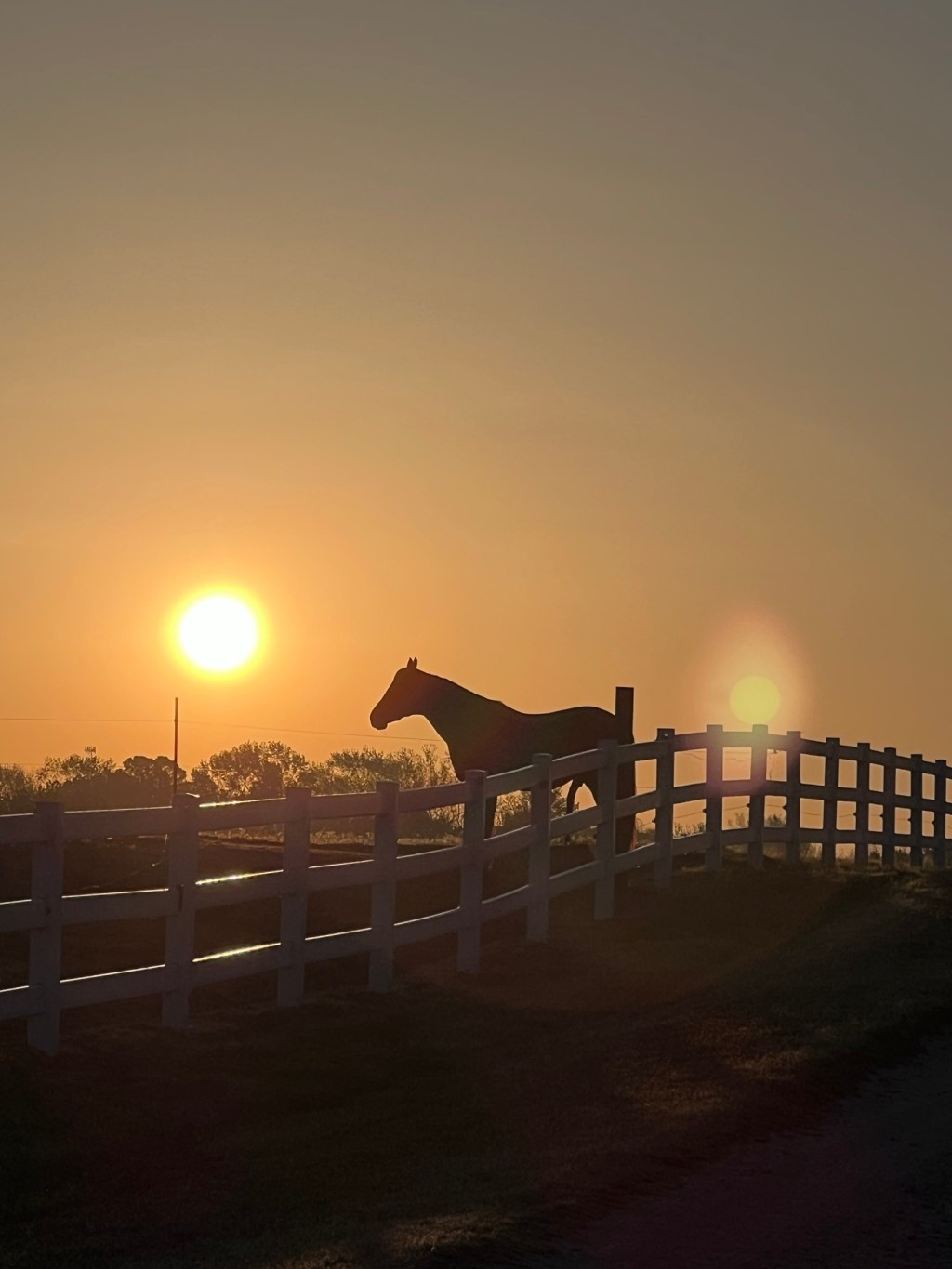 Welcome to the Cavvietta&nbsp;Bunkhouse!